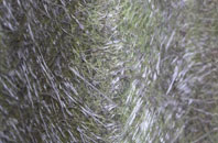 Maidenhead Court fibreglass roof work